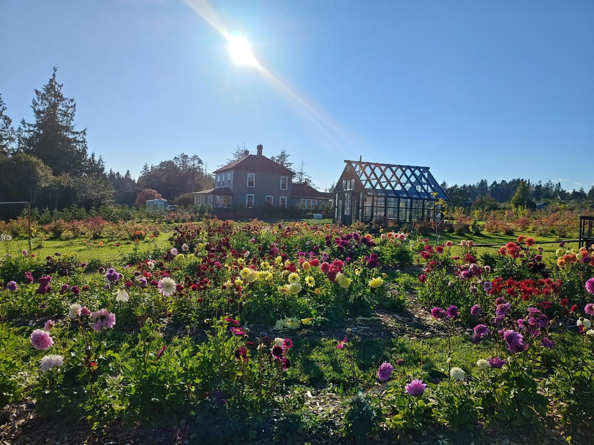 Woodside Farm Country Inn Sooke Dış mekan fotoğraf