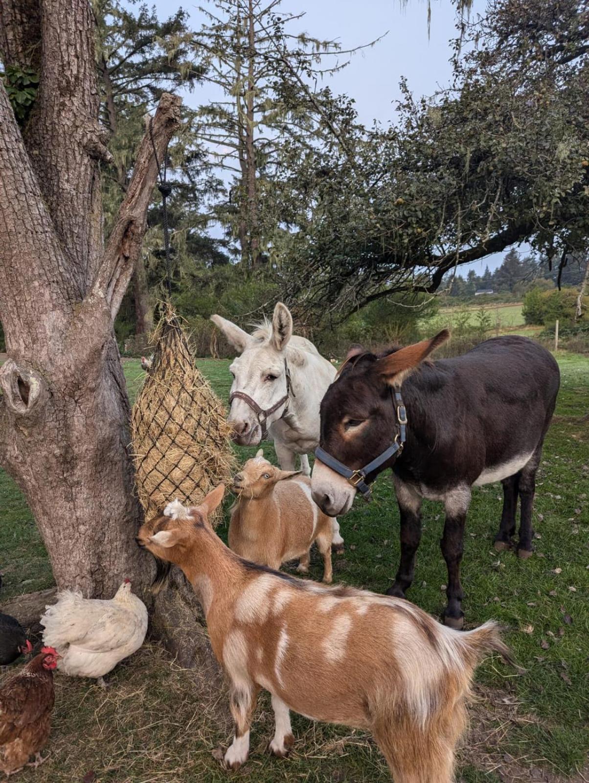 Woodside Farm Country Inn Sooke Dış mekan fotoğraf
